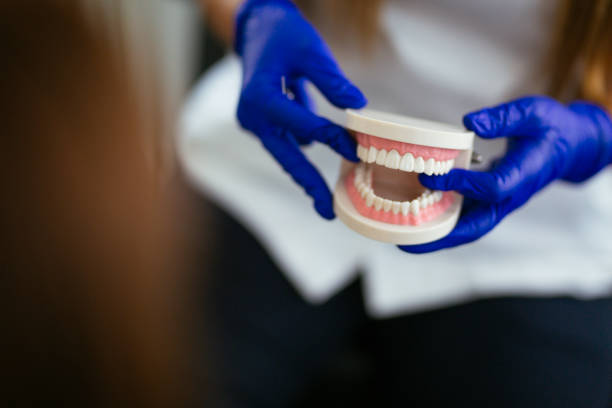  Experiment, GA Holistic Dental Services Pros